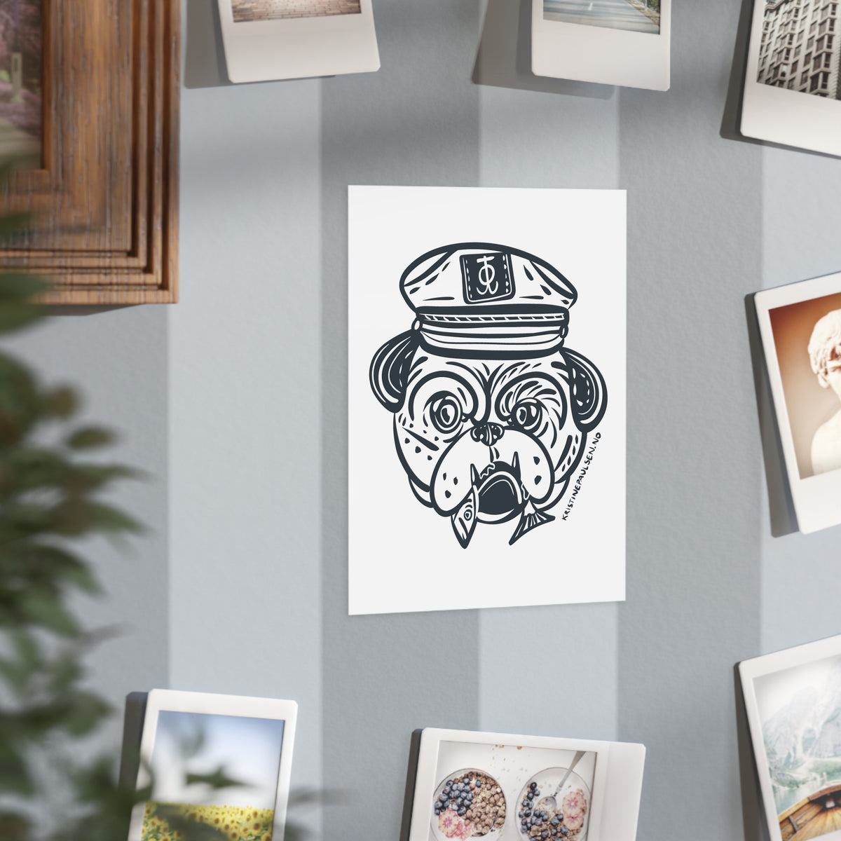 Old Dog Postcard