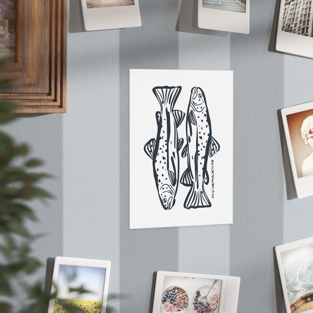 Trout Postcard