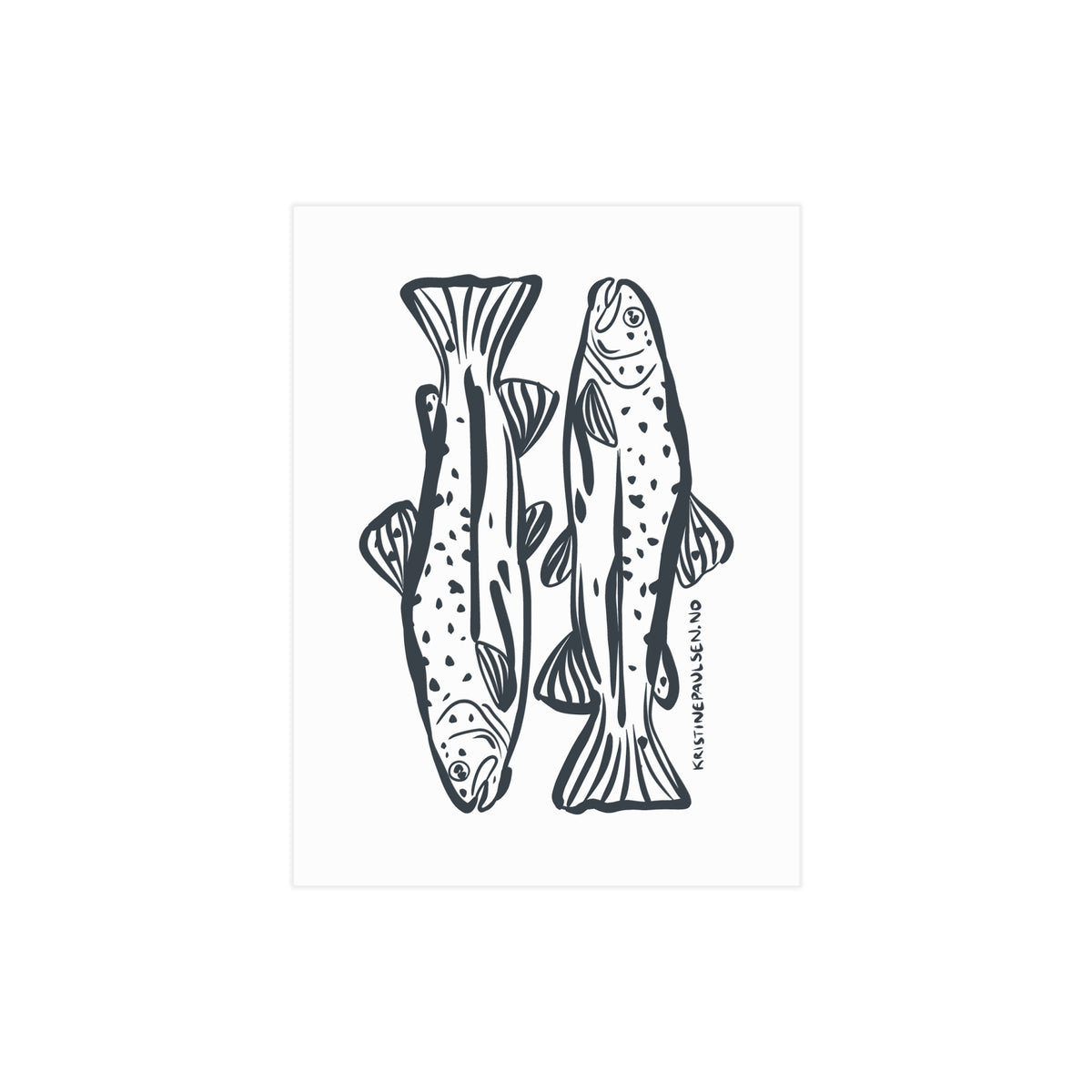 Trout Postcard