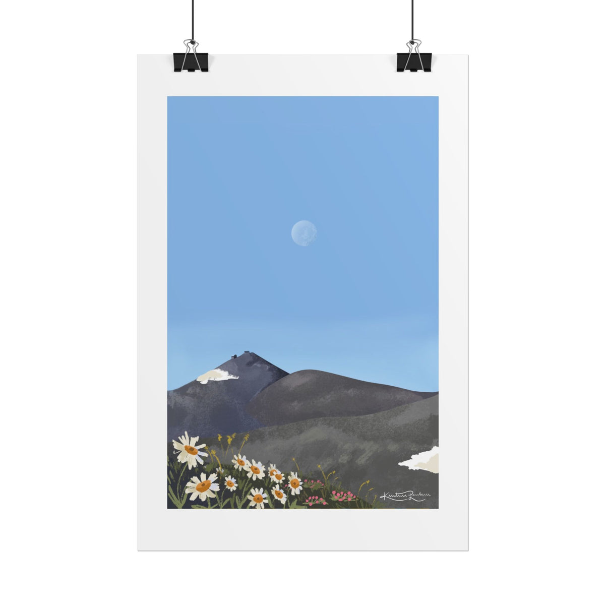 Haldde A4 Poster